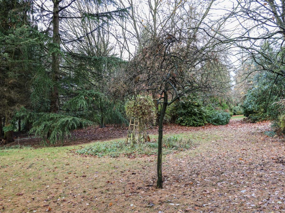 The Annex At 60 Rectory Lane Villa Poringland Buitenkant foto